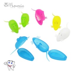 10 Piece Cute Mouse Milk Tooth Box Organizer